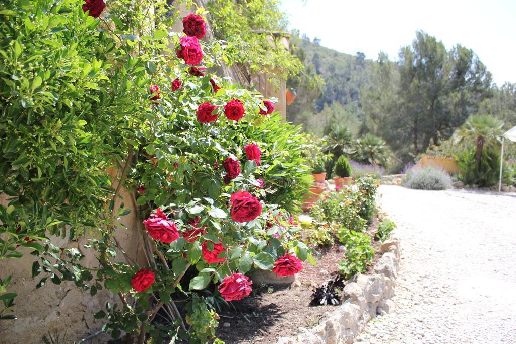 Masia Sumidors Sant Pere De Ribes Extérieur photo